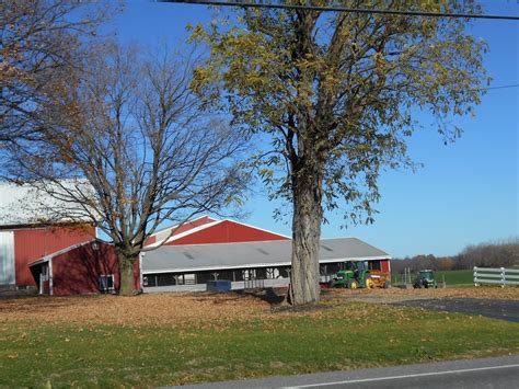 Kriemhild Dairy Farms (pronounced CREAM-hild), is a small, farmer-owned, agribusiness specializing in Organic, high quality full-fat, and cultured dairy foods with milk sourced from grass-based herds in Central New York. . Largest dairy farm in new york state